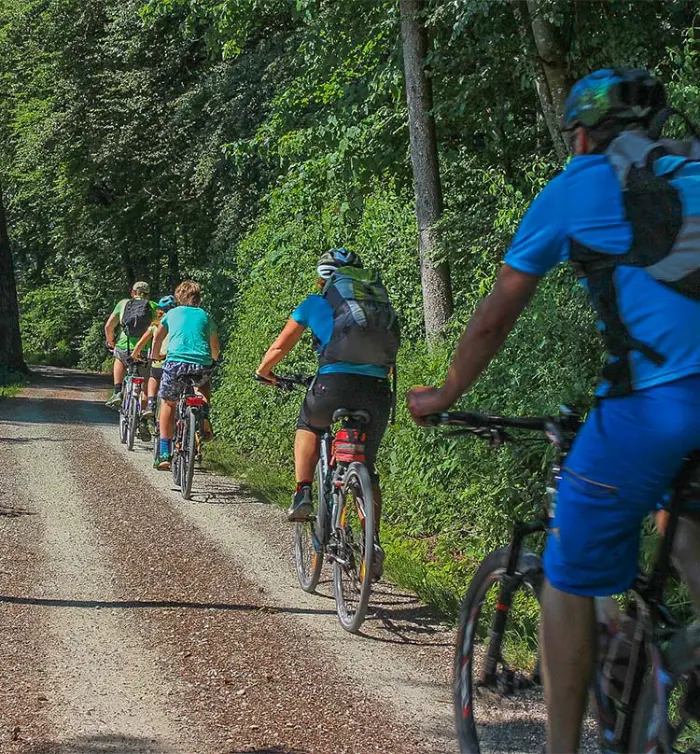 Groupe de cyclistes en balade sur un chemin forestier près du Camping Fouesnant, activité nature en Bretagne