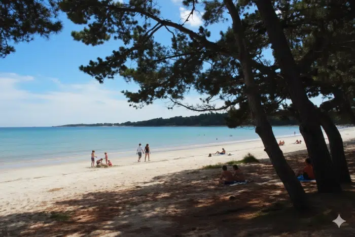 plage du Cap Coz Plage ombragée par les pins à Fouesnant – nature préservée Camping Bretagne bord de mer